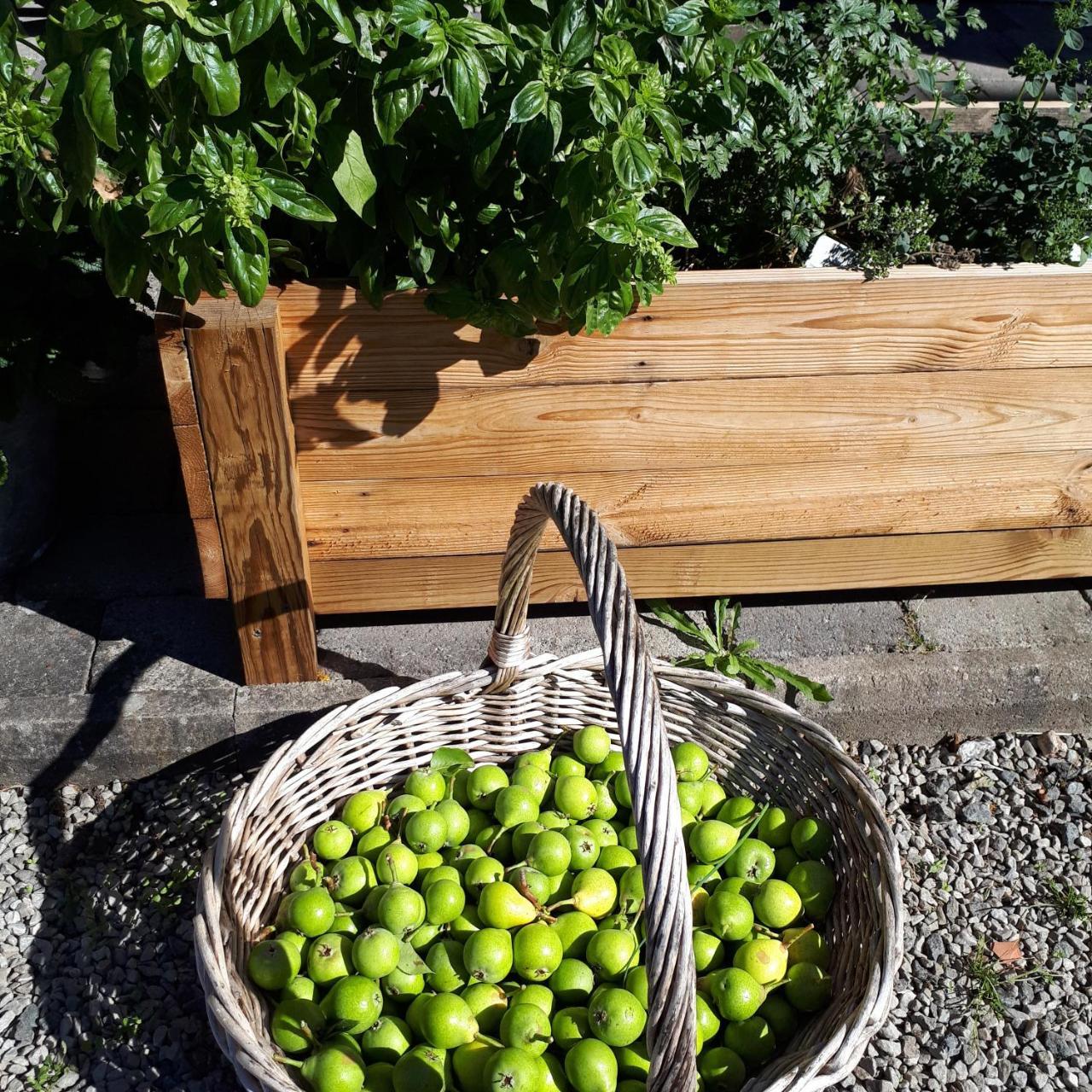 Vita Stenen Rum Och Restaurang Sankt Olof 外观 照片